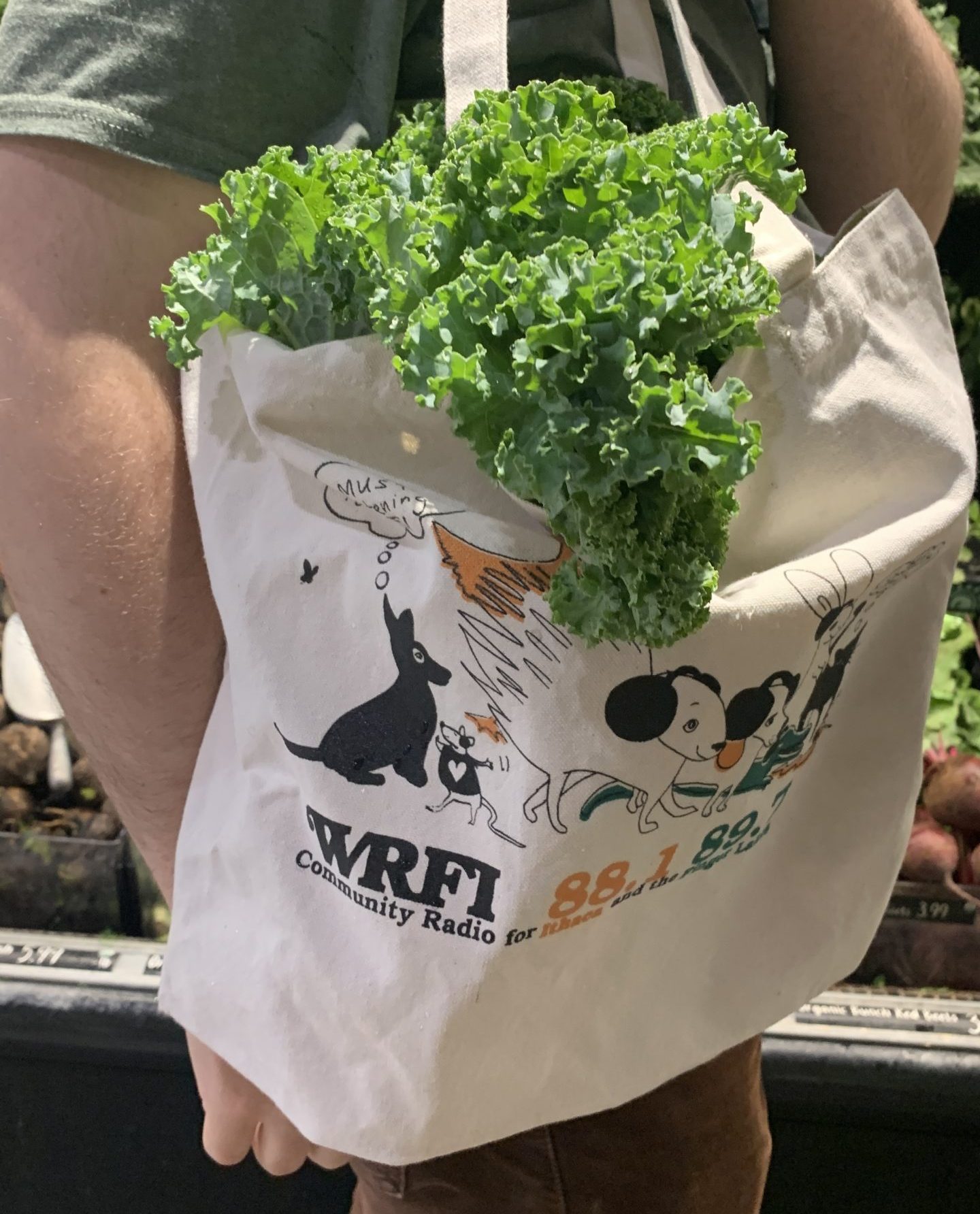 AllEars_Tote in use_2026